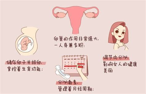 中康佰年性养文化---夫妻双修之女性大健康卵巢抗衰 - 常见问题 - 泉州市康佰年生物科技有限公司|康佰年官网|慈悲天下关爱女性|生殖美疗 ...