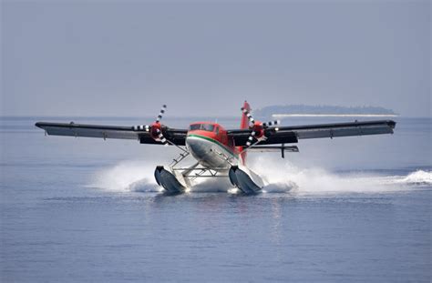 水上飞机集图片-水上飞机与两头熊素材-高清图片-摄影照片-寻图免费打包下载