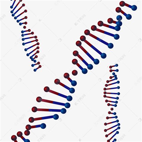 DNA结构模型 大号 DNA双螺旋结构模型 高中生物实验器材 教学仪器-阿里巴巴
