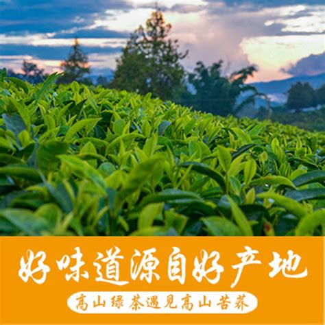 环太苦荞 大凉山特产 茶树菇100克*10盒