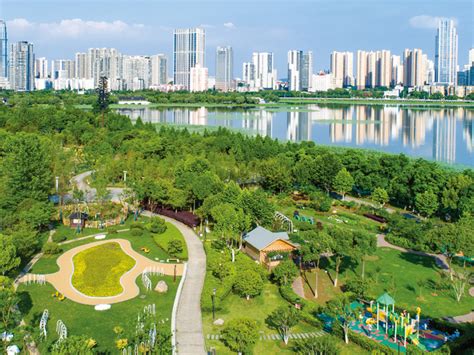 滨水景观_案例分享_武汉市园林建筑规划设计院