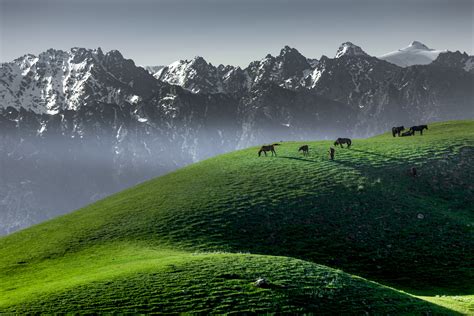 中国新疆夏塔公园雪山和草地风景航拍视频素材_ID:VCG2217726428-VCG.COM