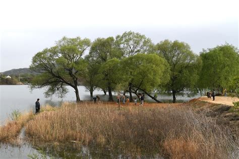 石家庄竟然也有美丽至极的风景湖，可与西湖相媲美！