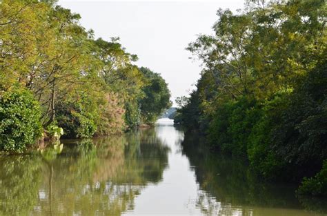 广州南沙湿地公园可以骑车进去吗 开放时间多少_旅泊网