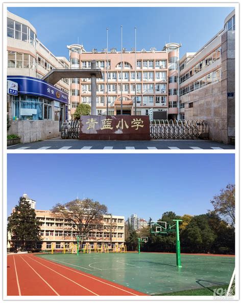 杭州小学排名2023最新排名(附前十名榜单)
