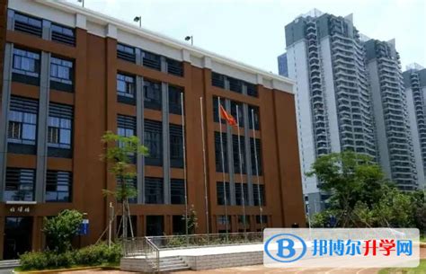 广州天河外国语学校2023年招生政策