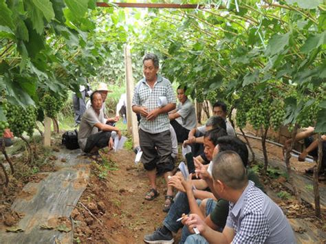 宾川县开展铸牢中华民族共同体意识巡察业务培训_资料区_云南频道_云南网