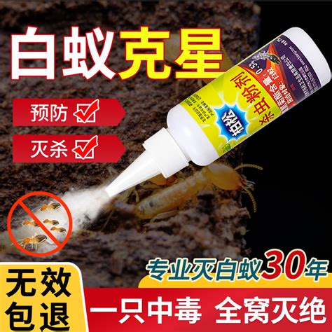 仪征办公室灭白蚁收费「扬州迅掣有害生物防治供应」 - 数字营销企业