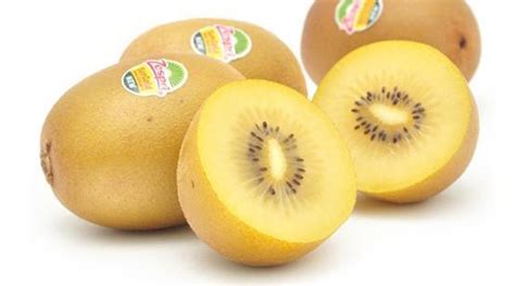 新西兰佳沛奇异果15个 进口甜心黄心阳光金果猕猴桃 孕妇新鲜水果-产品信息-中国猕猴桃网