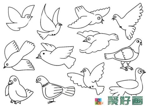 儿童简笔画动物：纯白的和平鸽简笔画的图片怎么画（我学会了画画450字） - 有点网 - 好手艺