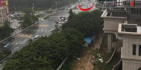 北京今天有雷阵雨，局地雨强较大，并伴有七八级短时大风_北京日报网