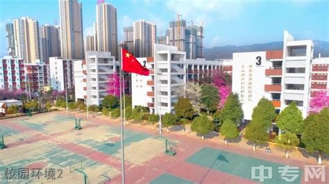 云南昆明高中学校排行榜 昆明市高中学校最好的10个