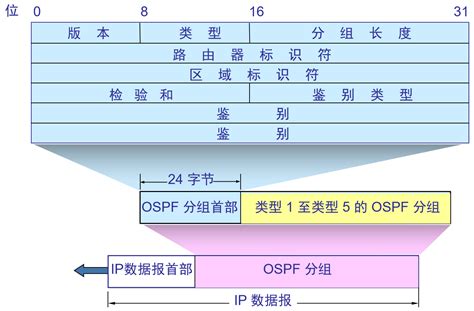 【原创】OSPF的一类LSA详细解析_报文