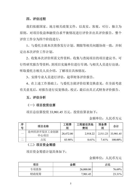 2——沧州经济开发区工业创新中心项目财评报告_文库-报告厅