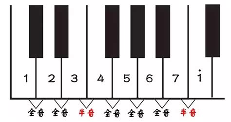 bm和弦钢琴,bm和弦钢琴怎么按,bm和弦怎么按_大山谷图库