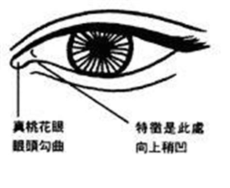 【图】桃花眼和杏眼的区别是什么 为你分析美的两大眼型_桃花眼和杏眼的区别_女物美容网|nvwu.com