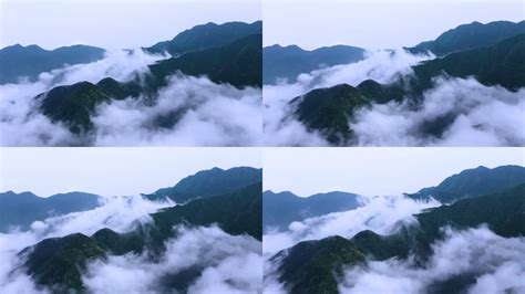 江西庐山现今年下半年来首场雨凇 云雾缭绕宛若仙境-天气图集-中国天气网