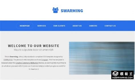 蓝色密集信息网页模板免费下载 - 模板王