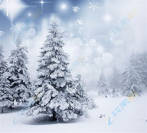 冬天大雪覆盖松树白茫茫背景高清图片下载-找素材