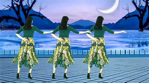 精选民族风广场舞《月光下的凤尾竹》优美中三舞步，跳起来美极了