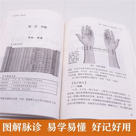 脉诊入门图解图片