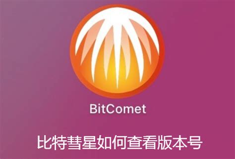 比特彗星中文版下载-BitComet(比特彗星)下载 v1.76 最新官方版-IT猫扑网