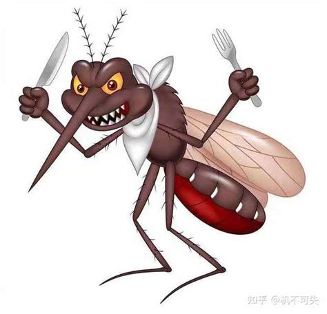 提醒｜被叮后，3种症状很危险 蚊虫叮咬分3步处理