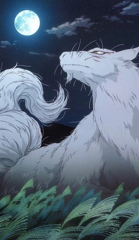 猫咪老师图片