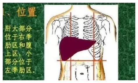 胃炎疼痛位置图图片