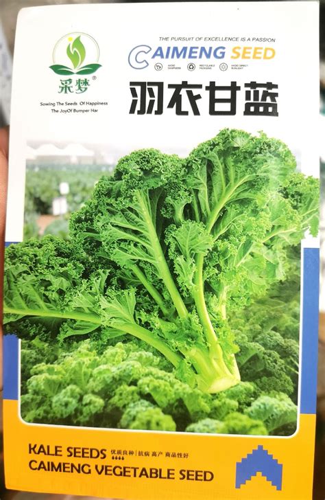 人唯贵新鲜羽衣甘蓝沙拉蔬菜轻食榨汁烘焙食材500g重庆满69元包邮_虎窝淘