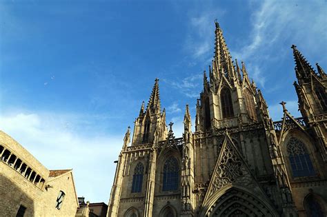 2021巴塞罗那大教堂-旅游攻略-门票-地址-问答-游记点评，巴塞罗那旅游旅游景点推荐-去哪儿攻略