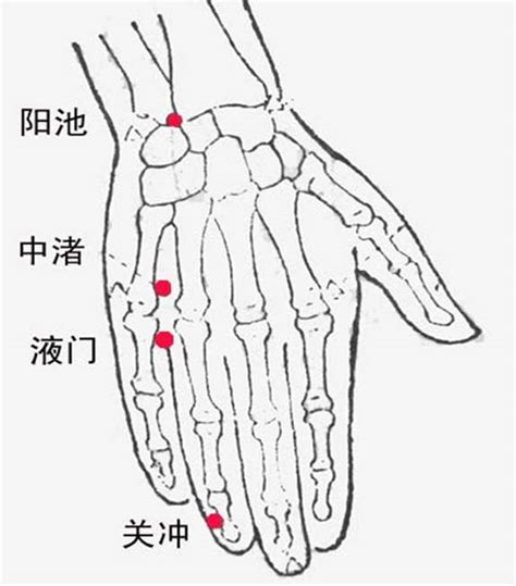 三焦经经络图图片
