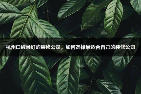 杭州设计公司,杭州vi设计,logo设计公司-大连青火文化有限公司