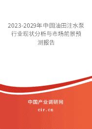 2023年油田注水泵市场现状和前景 - 2023-2029年中国油田注水泵行业现状分析与市场前景预测报告 - 产业调研网
