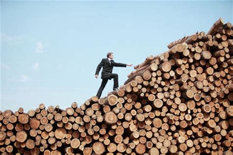 提升木材附加值 宁明打造“产供销”一体的木材加工全产业链-木业网