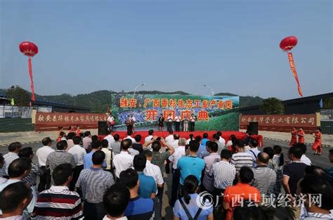 融安县：强短板补弱项 推动县域经济高质量发展 - 广西县域经济网