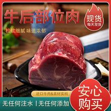 新发地猪肉批发大厅重开！禁止进口肉类冻品销售 - 国内 - 新闻频道 - 速豹新闻网