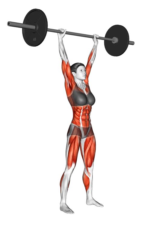 Pure Seated Shoulder Press