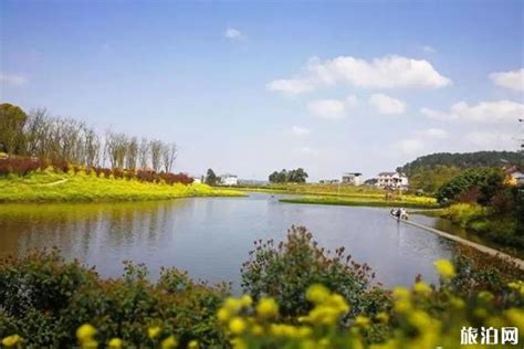 巴南区阳春湿地公园 骑行亲水好去处 重庆风景园林网 重庆市风景园林学会