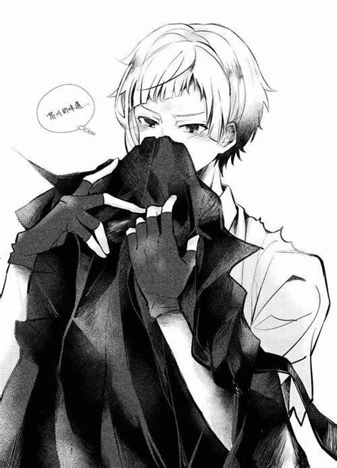 芥敦图片