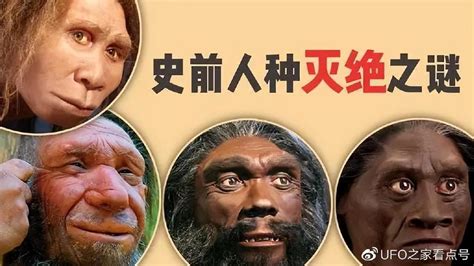 人类进化历程,古猿到人类的进化过程详解_小狼观天下