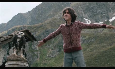 奥地利记录式电影：追鹰日记 讲诉了一个男孩和鹰共同成长的故事_手机新浪网