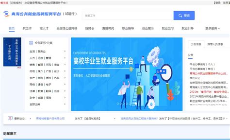 国家税务总局青海省电子税务局客户端图片预览_绿色资源网