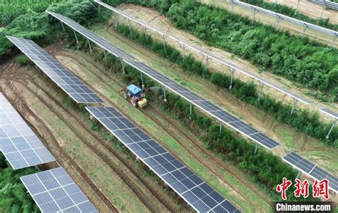 河北内丘推广“农光互补” 清洁能源助力绿色发展-国际太阳能光伏网