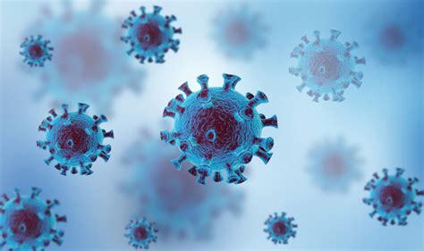 世卫组织正式通报新冠病毒四种变体情况！去年1月就出现病毒突变，英国与南非发现的变异病毒为不同的变体