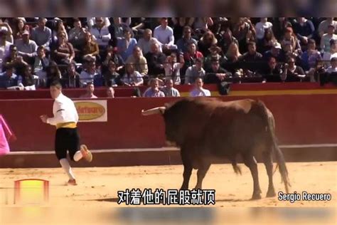 西班牙斗牛，看看这个斗牛士一剑刺入牛背的时候有多准，太血腥了