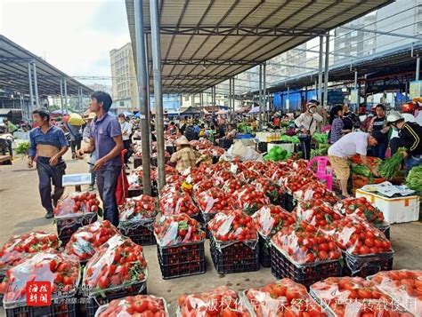 海口市场西红柿零售价高达5元一斤，批发价最高只有1.1元？
