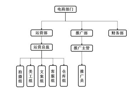 ppt如何画电商部门结构图？ppt画电商部门结构图教程-天极下载