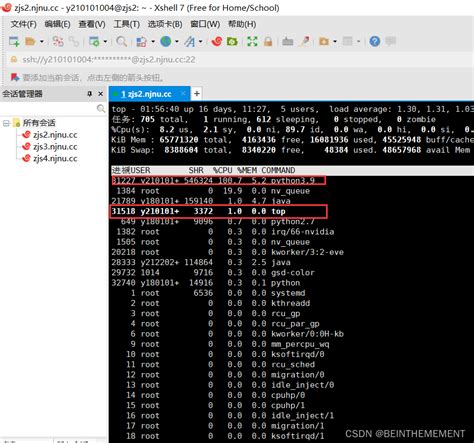 如何查看linux服务器内存使用情况 | 胖虎的工具箱-编程导航