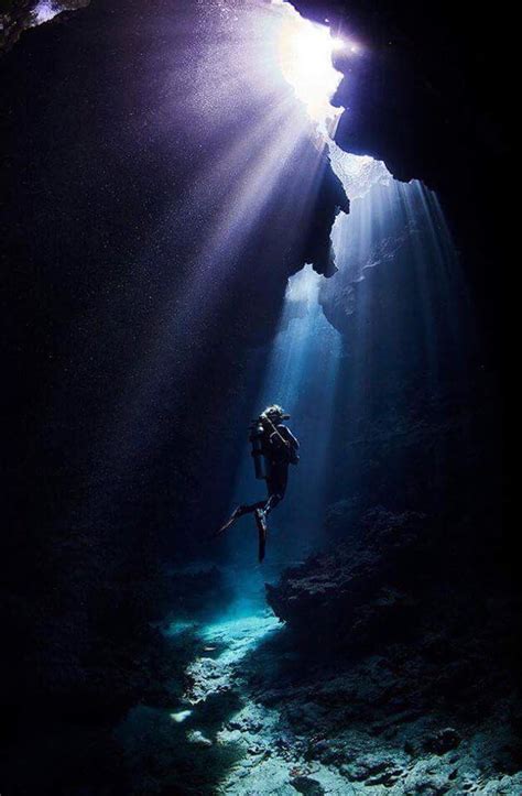 深海摄影，探寻海底未知的秘密|海底|深海|摄影_新浪新闻
